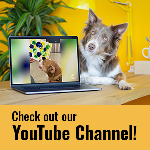 Lollypop YouTube