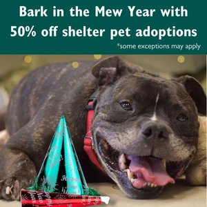 Bark in the Mew Year with 50% off