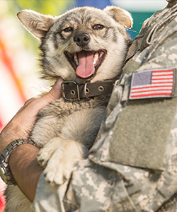 Lollypop Farm Military Program
