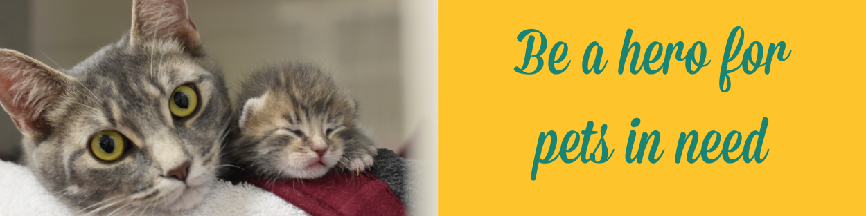 Be a Hero banner with mom cat and baby kittens 