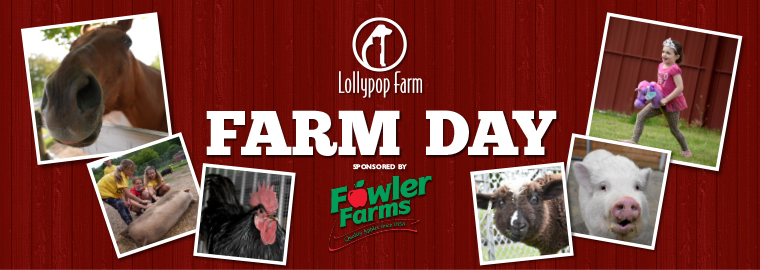 Farm Day at Lollypop Farm