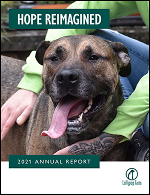 Lollypop Farm 2021 Annual Report Cover