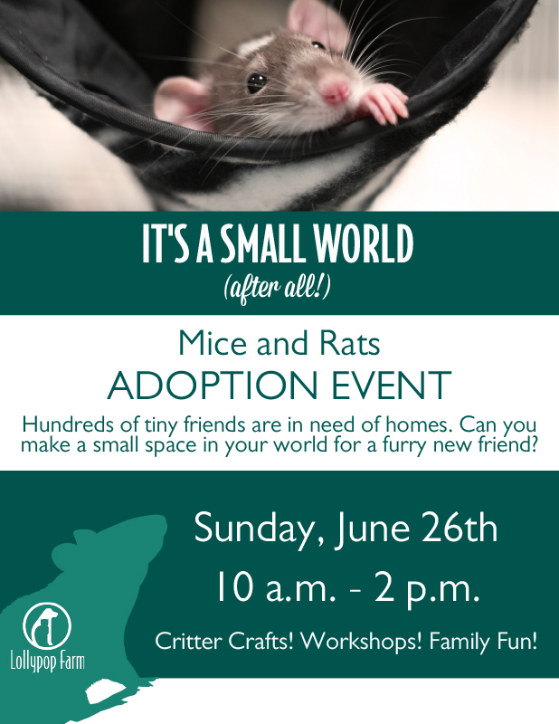 It’s a Small World (after all!) Mice and Rats Adoption Event @ Lollypop Farm Main Campus