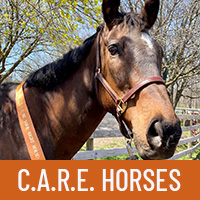 C.A.R.E. Horses