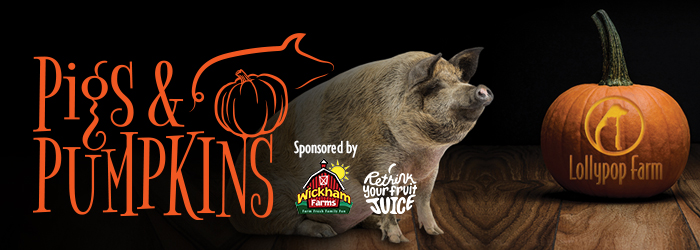 Pigs & Pumpkins
