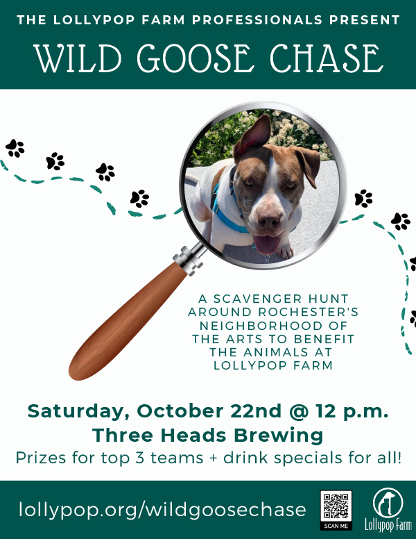 Wild Goose Chase Scavenger Hunt Presented by Lollypop Professionals @ Three Heads Brewing