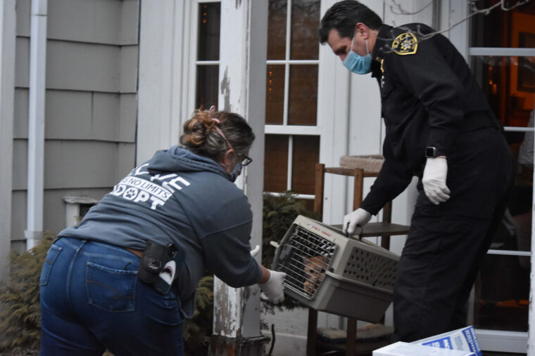 re homing pet resources