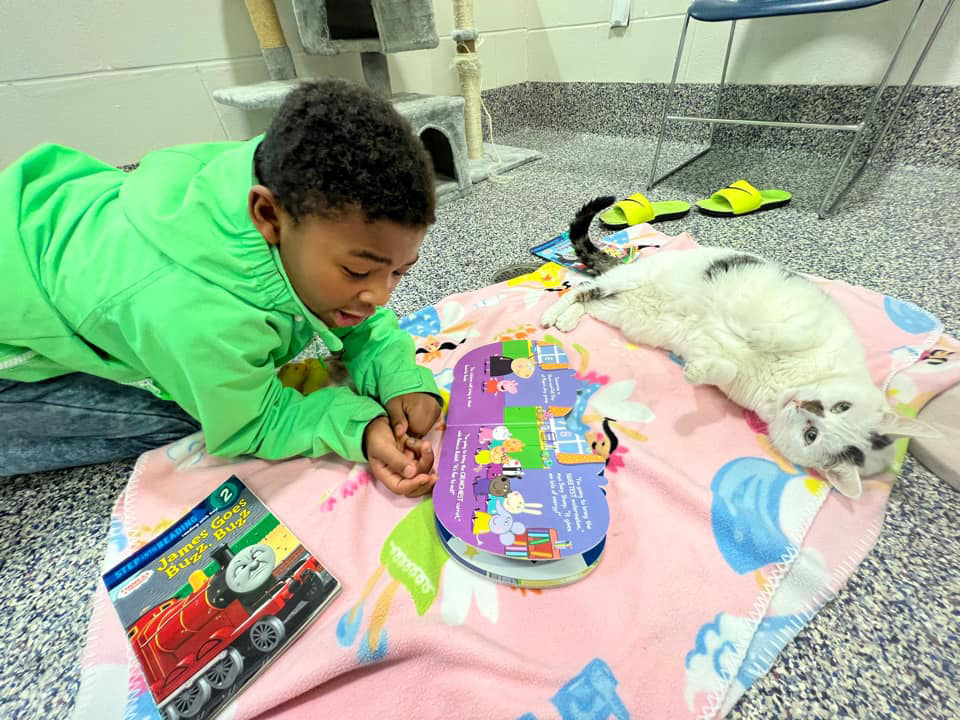 Lp Boy Book Buddies