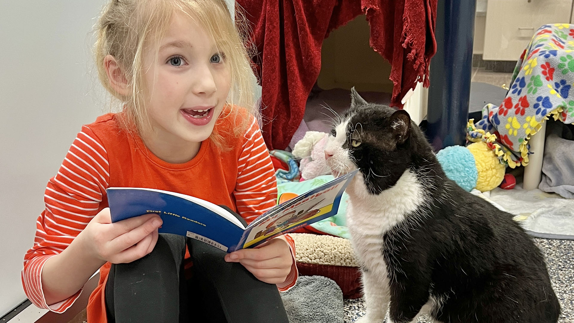 Lp Girl Book Buddies