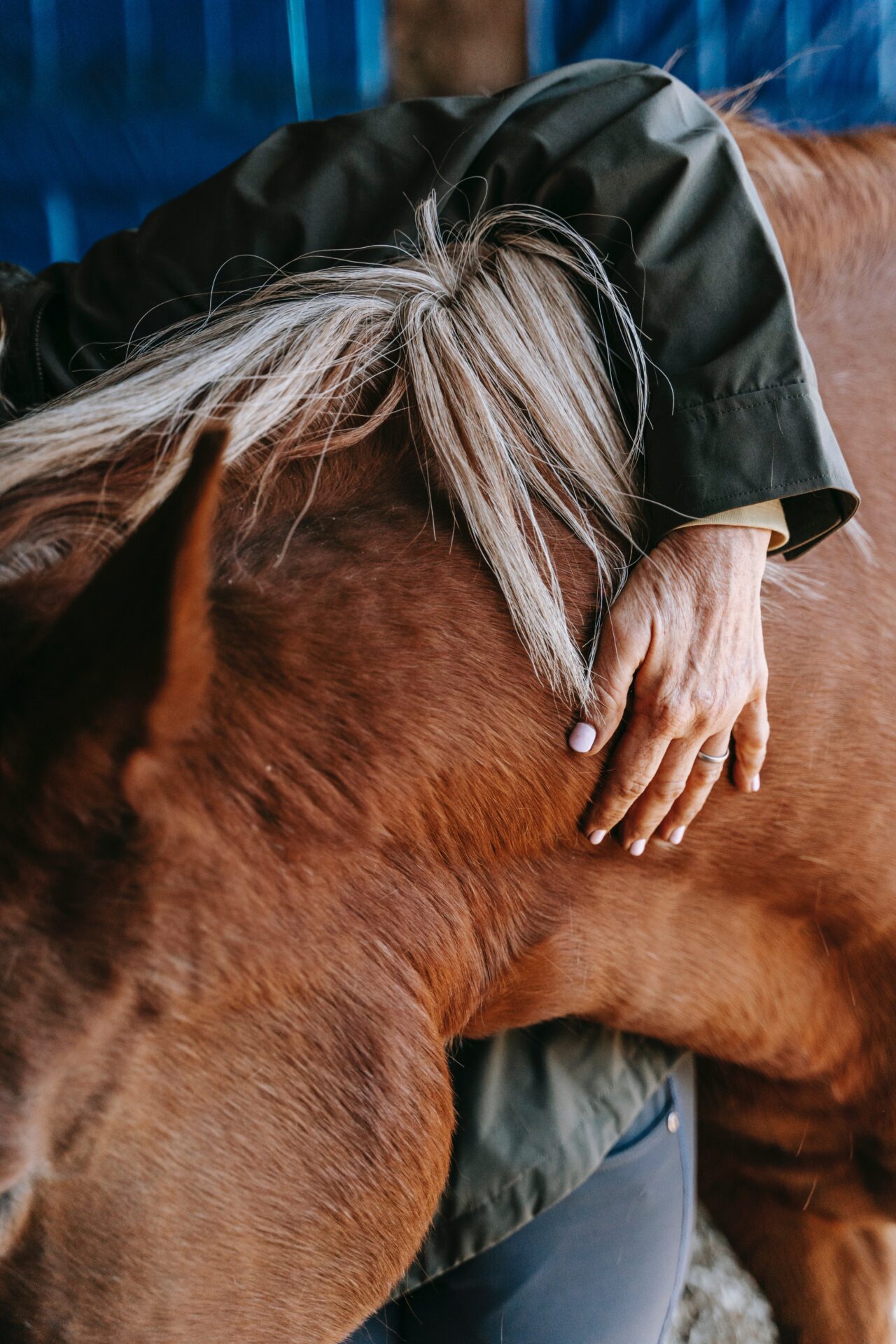 Hugging a horse