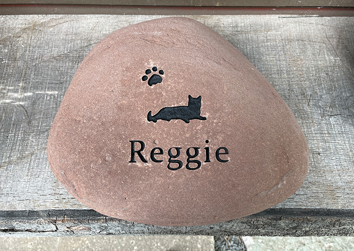 Lp Reggie Rock
