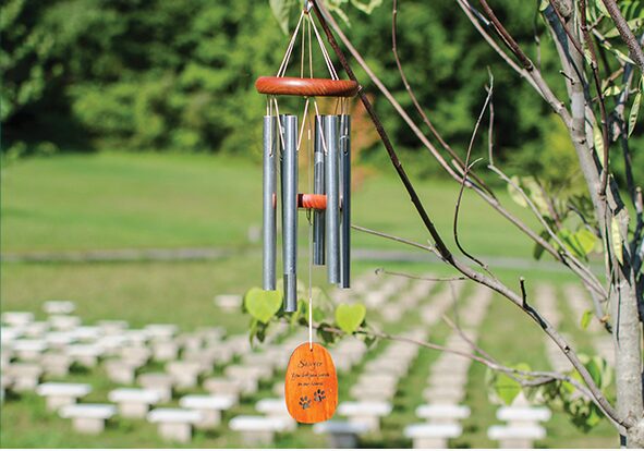 Wind Chime Photo