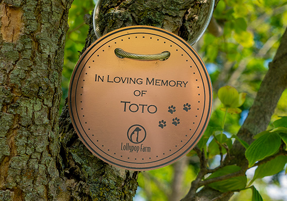 Memorial Tree Charms Lollypop Farm