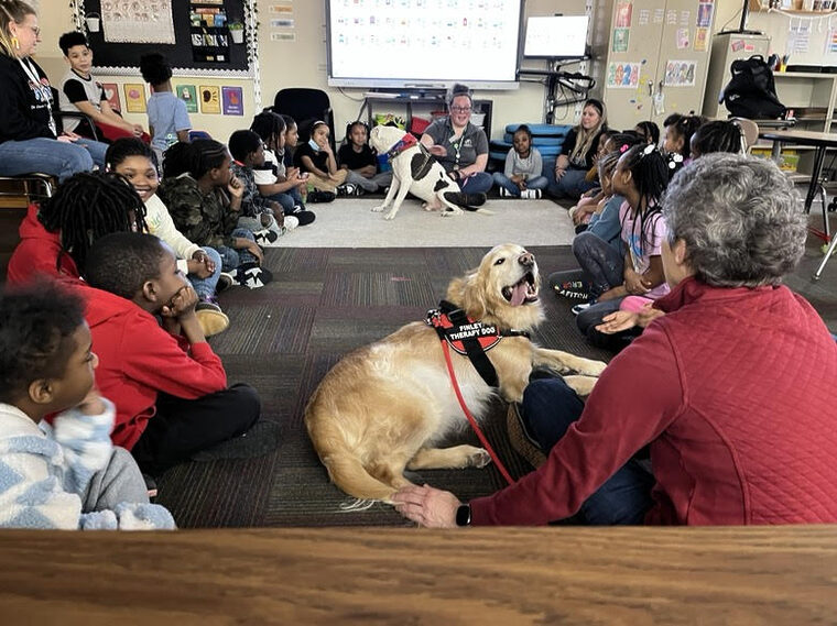 All About Humane Education | Lollypop Farm