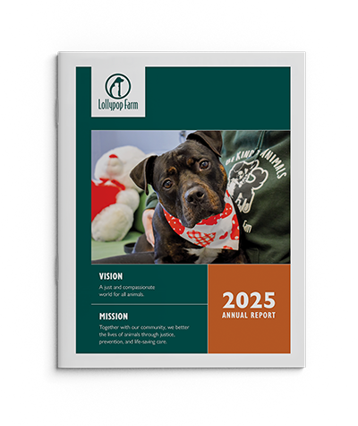 Lollypop Farm 2025 Annual Report Cover